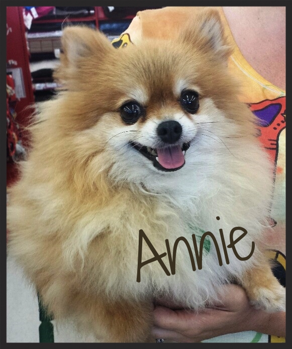 Annie Official