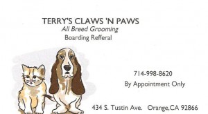 Terry's Paws