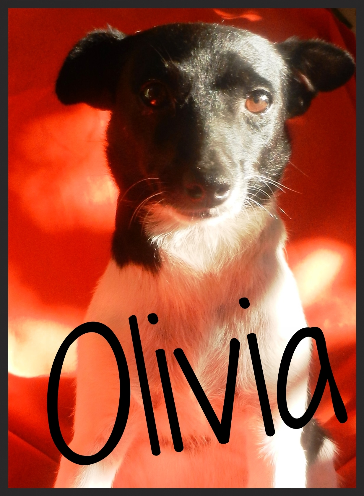 Olivia Framed